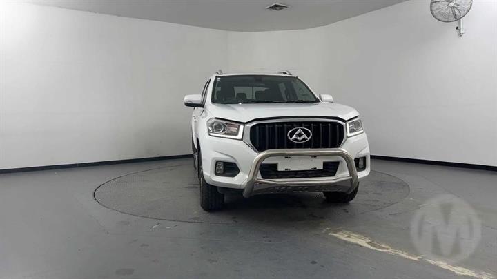 Lazy Owl Image