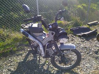2025 Honda CT 125a Scooter Photo