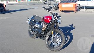 2023 Triumph Street Scrambler 900 DCZ Motorcycle Photo