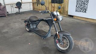 2023 Factory Built Mangosteen M1 Motorcycle Photo