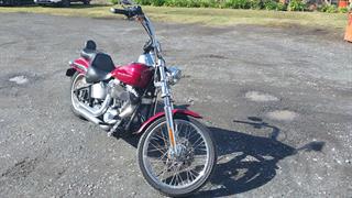 2006 Harley Davidson Softail 06 Injected Deuce Motorcycle Photo