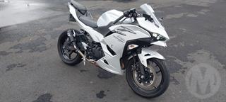 2025 Kawasaki ex 500g Motorcycle Photo