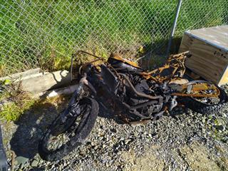 2024 Kawasaki KL 650hp Motorcycle Photo