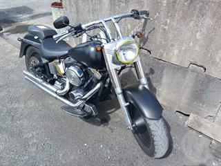 1996 Harley Davidson FAT BOY Flstf Motorcycle Photo