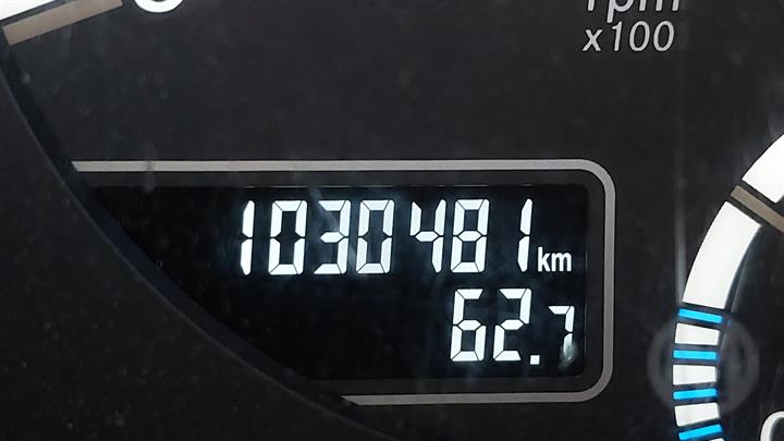 Lazy Owl Image