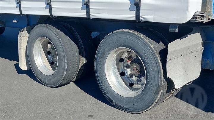 Lazy Owl Image