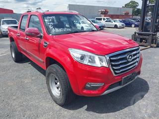 2020 GWM Steed 2.4P/5MT Utility Photo