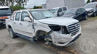 2018 GWM Steed 2.4P/5MT Utility Photo