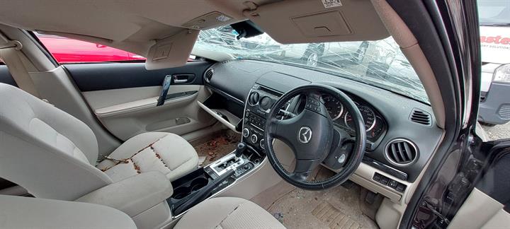 Lazy Owl Image