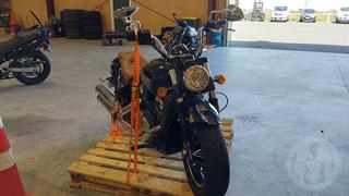 2024 Indian Scout Motorcycle Photo