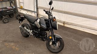 2025 Honda MSX 125a P Motorcycle Photo