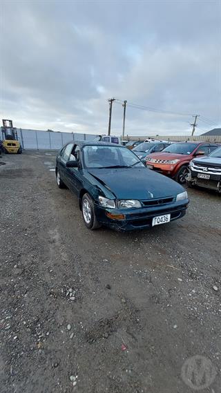 1995 Toyota Corolla 1.6P GL Hbac Hatch Photo