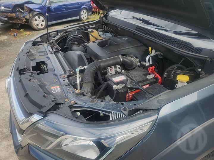 Lazy Owl Image
