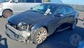 Lazy Owl Image