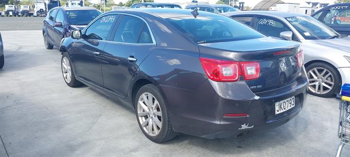 Lazy Owl Image