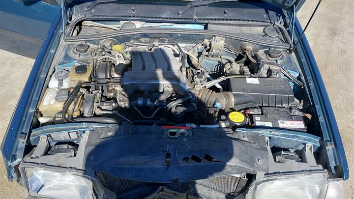 Lazy Owl Image