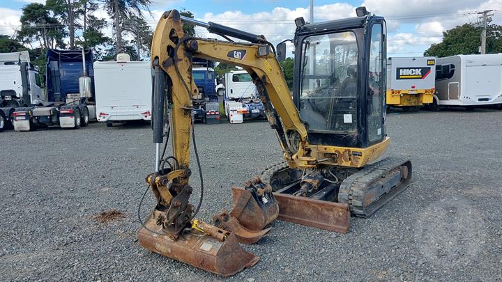 Lazy Owl Image