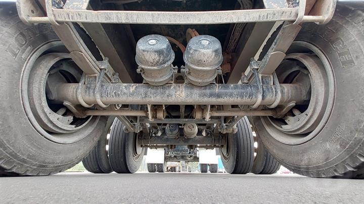 Lazy Owl Image