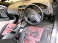 Lazy Owl Image