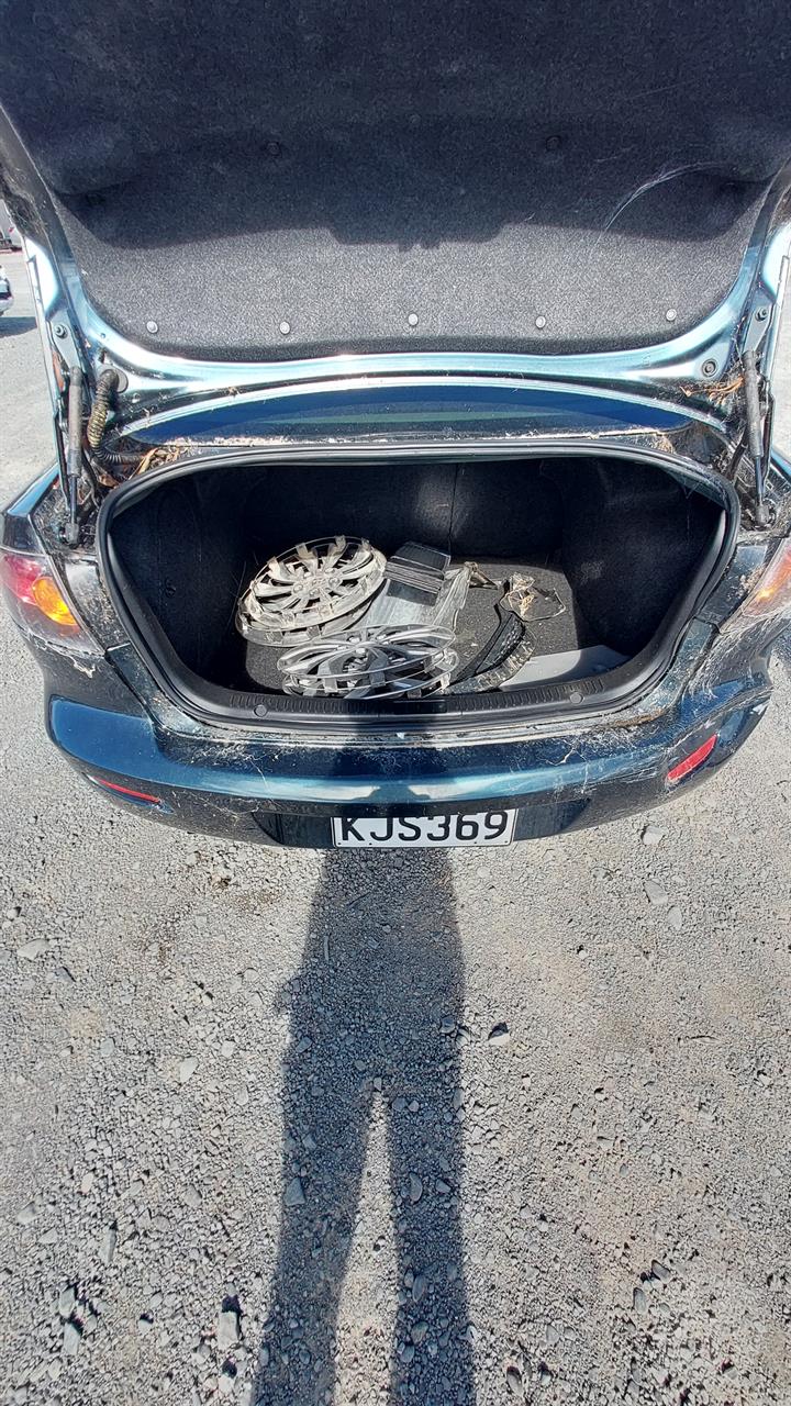 Lazy Owl Image