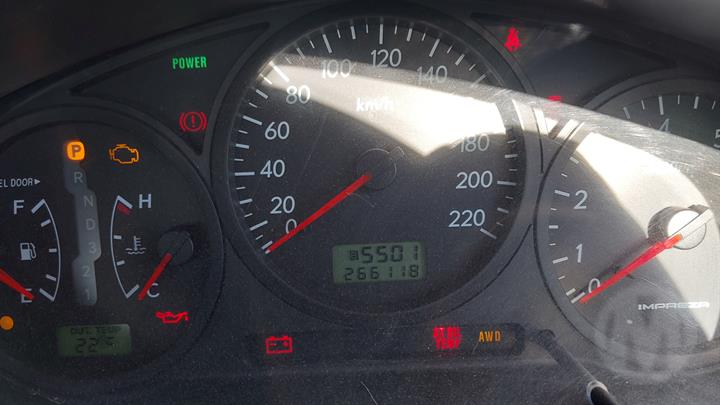 Lazy Owl Image