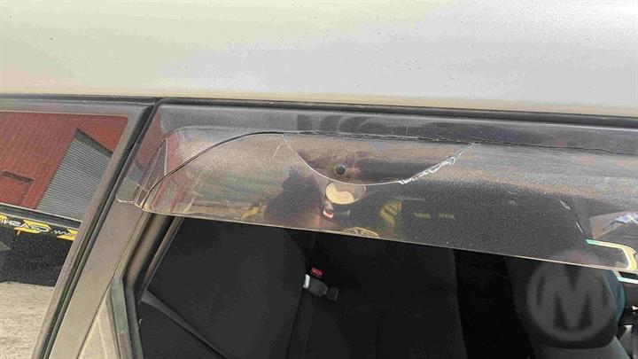 Lazy Owl Image