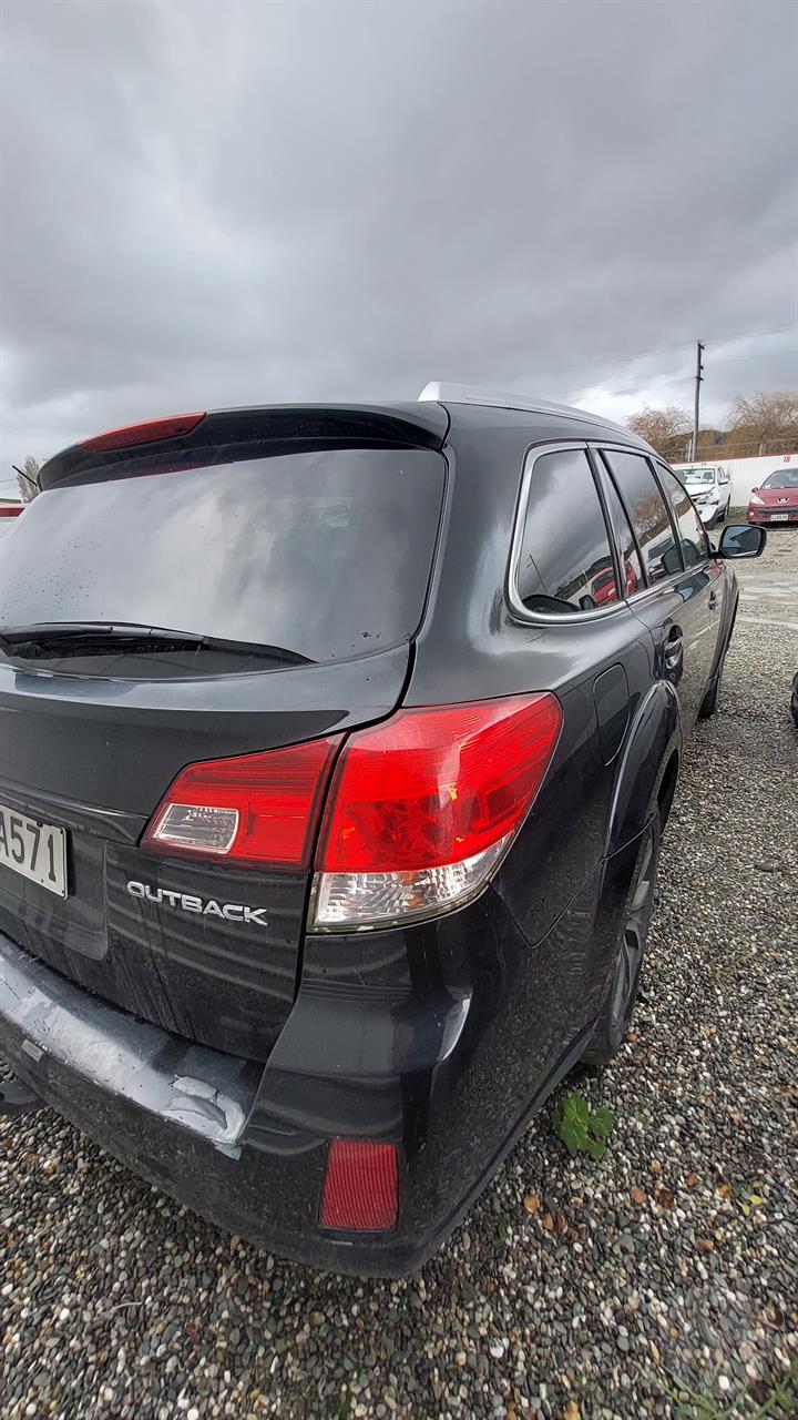 Lazy Owl Image