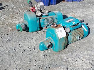 2X Electric Water Pumps N/A Photo