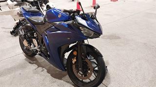 2018 Yamaha YZF R3-ASPJ Motorcycle Photo