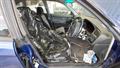Lazy Owl Image