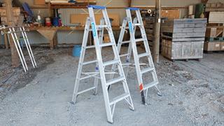 indalex ladders N/A Photo