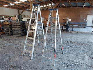 2X Alloy Ladders Workshop Equipment Photo