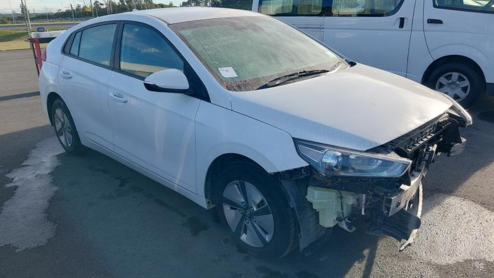 Lazy Owl Image