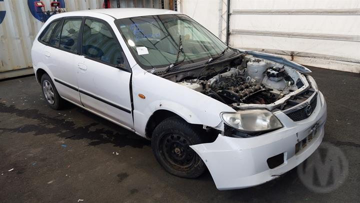 Lazy Owl Image