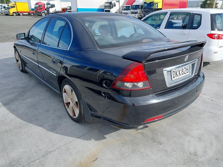 Lazy Owl Image