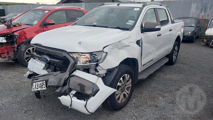 Lazy Owl Image