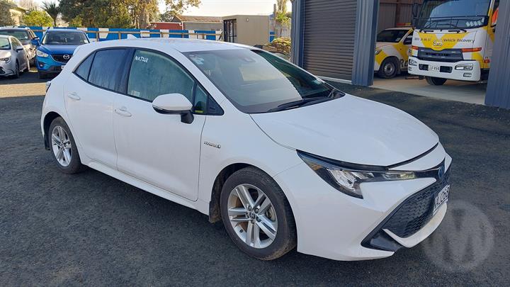 Lazy Owl Image