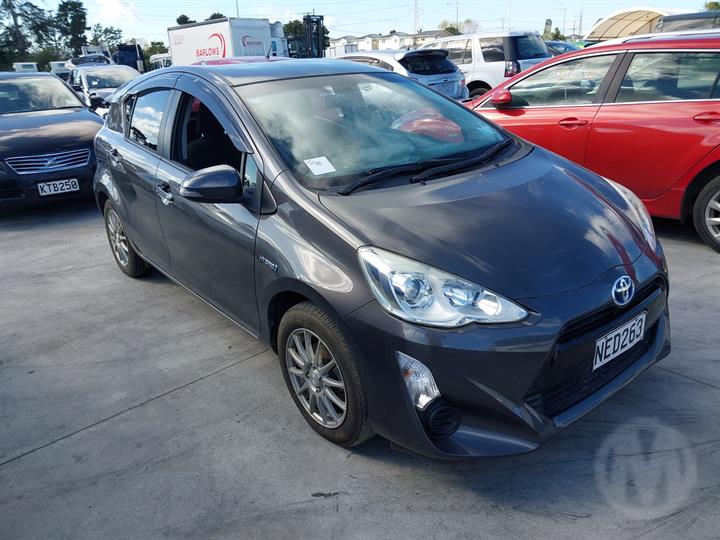 Lazy Owl Image