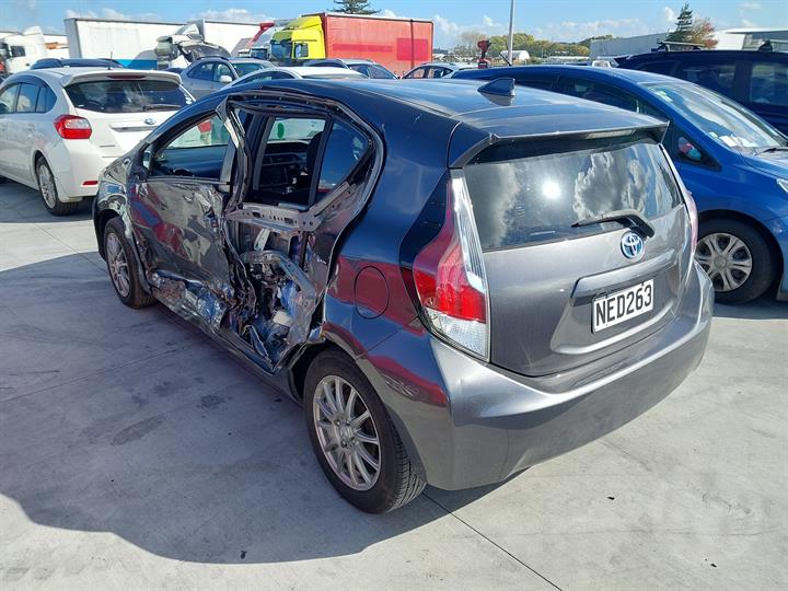 Lazy Owl Image