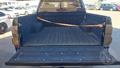 Lazy Owl Image