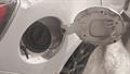 Lazy Owl Image