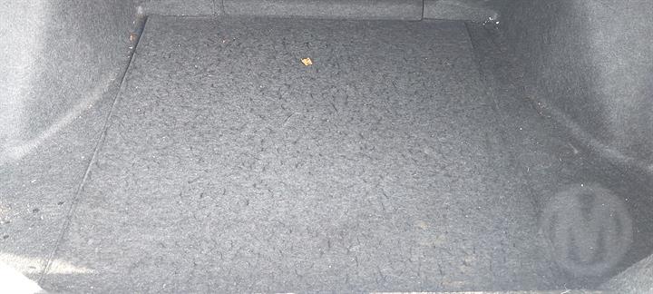 Lazy Owl Image