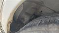 Lazy Owl Image