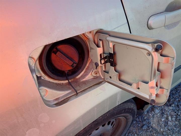 Lazy Owl Image