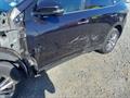 Lazy Owl Image