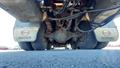 Lazy Owl Image