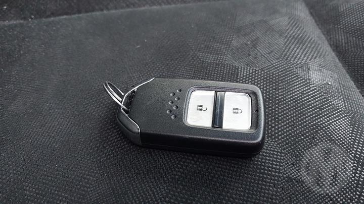 Lazy Owl Image