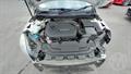 Lazy Owl Image