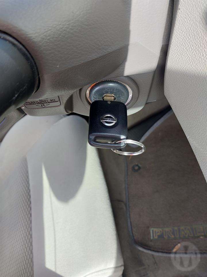 Lazy Owl Image