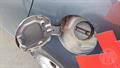 Lazy Owl Image